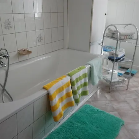 Ferienwohnung Ehrenfriedersdorf Daire *